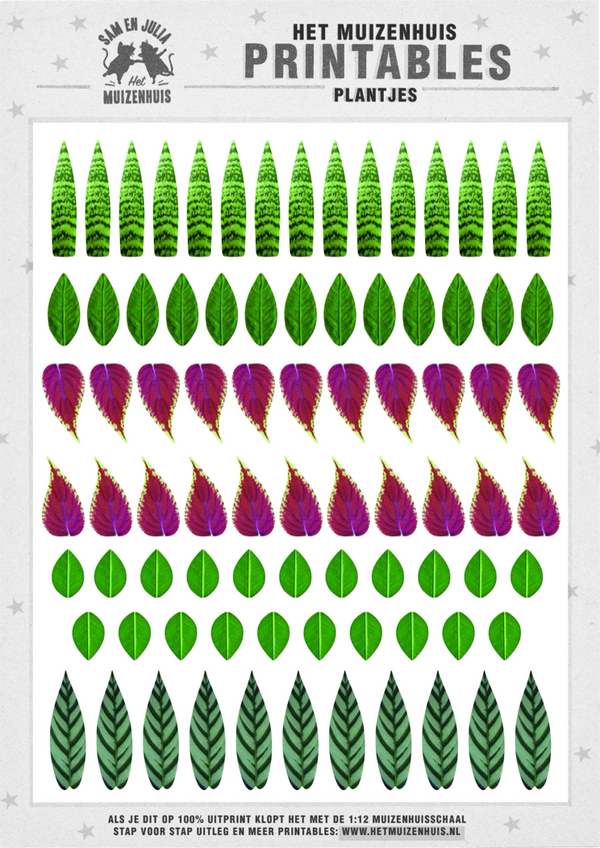 Plants